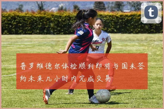 普罗维德尔体检顺利即将与国米签约未来几小时内完成交易