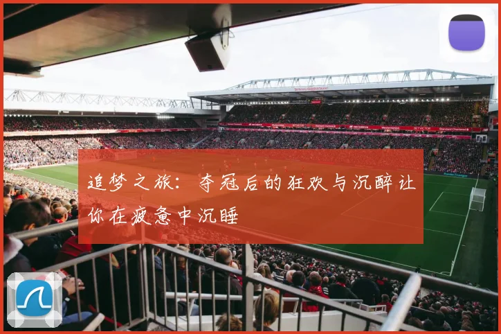 追梦之旅：夺冠后的狂欢与沉醉让你在疲惫中沉睡